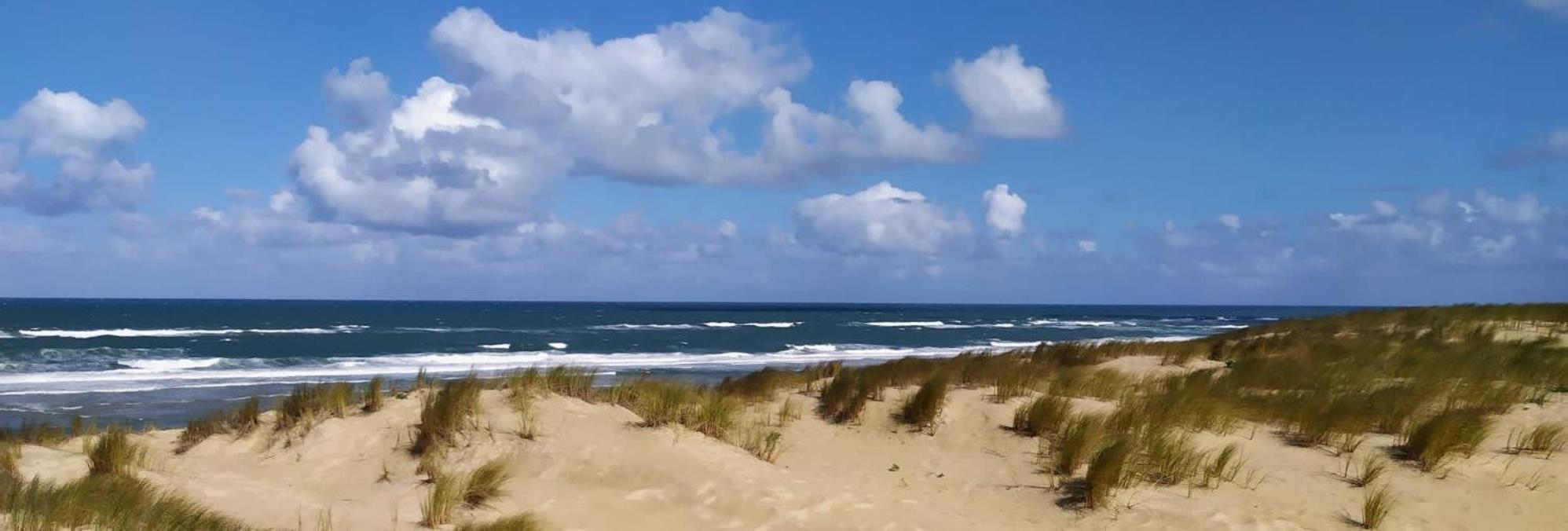 Charme & Confort- Les Cottages Du Bassin D'Arcachon- Petit-Dejeuner Sur Demande - Nuitee, Court Sejour, Semaine غوجان-ميستراس المظهر الخارجي الصورة